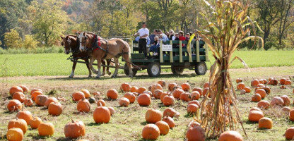 14th Annual Pumpkin Festival at Cedar Circle Farm