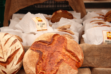 Bennington Farmers Market - Winter