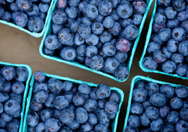Bennington Community Farmers Market