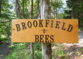 Brookfield Bees