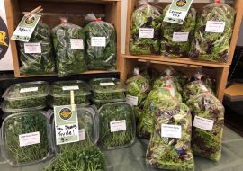 Burlington Farmers Market