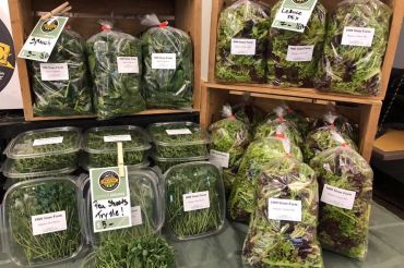 Burlington Farmers Market