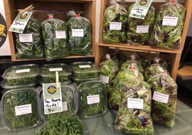 Burlington Farmers Market