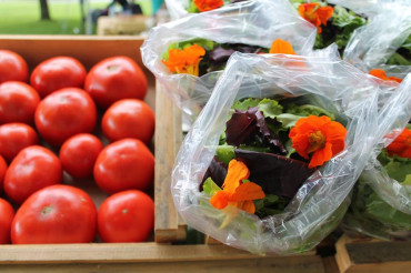 Danville Farmers Market (Caledonia Farmers Market Association)