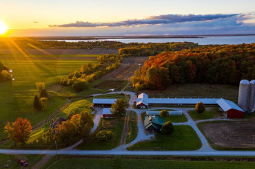 Carman Brook Farm