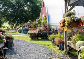 Cedar Circle Farm & Education Center