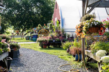 Cedar Circle Farm & Education Center