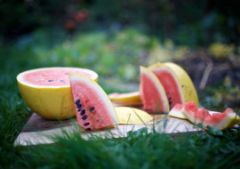 Champlain Islands Farmers Market (South Hero)