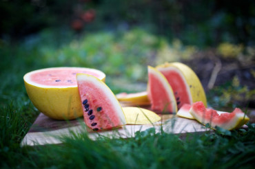 Champlain Islands Farmers Market (South Hero)