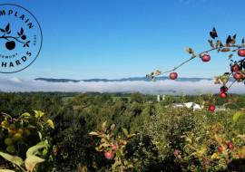 Champlain Orchards and Cidery