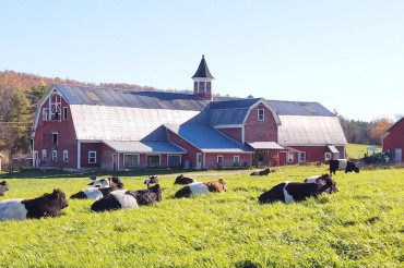 Chandler Pond Farm 