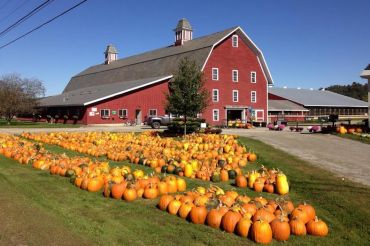 Conant's Riverside Farm
