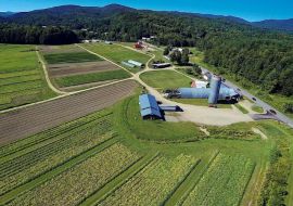 Foote Brook Farm