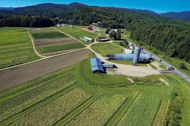 Foote Brook Farm