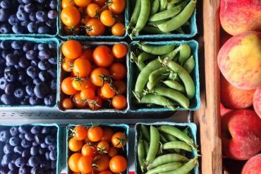 Full Belly Farm