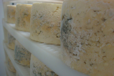 Green Mountain Blue Cheese and Boucher Family Farm