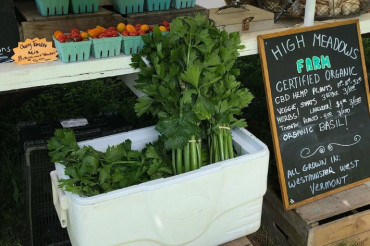 High Meadows Farm & Greenhouses