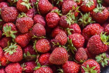 Killington Farmers Market