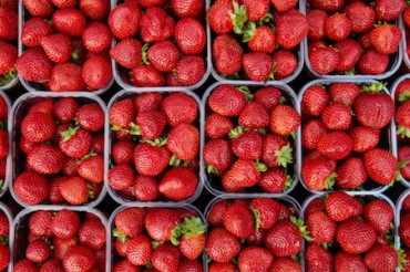 Strawberry Festivals are a Sweet Celebration