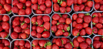 Strawberry Festivals are a Sweet Celebration
