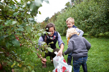 Liberty Orchard