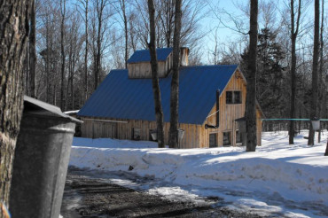 Little Charlie's Sugarbush