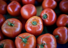 Ludlow Farmers Market
