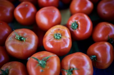 Ludlow Farmers Market