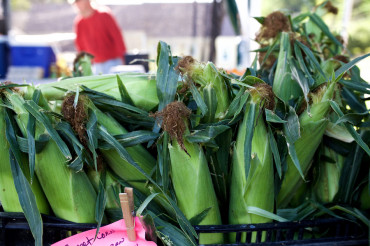 Lyndon Farmers Market