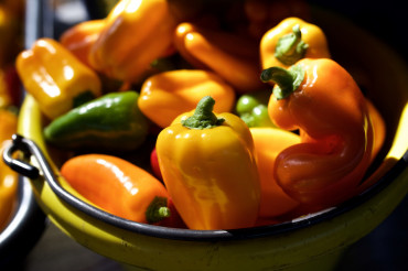Manchester Farmers Market