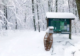 Merck Forest and Farmland Center Trails