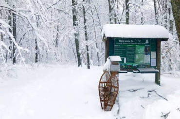 Merck Forest and Farmland Center Trails