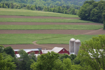 Molly Brook Farm