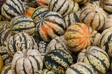 Northfield Farmers Market - Winter