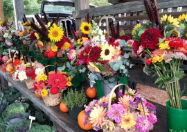 Norwich Farmers Market