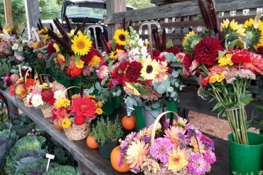 Norwich Farmers Market