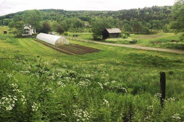 Pebble Brook Farm