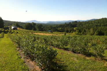 Two Sisters Organic Farm