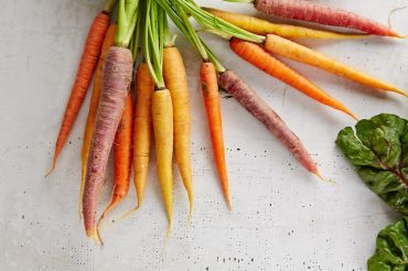 Putney Farmers Market - Winter