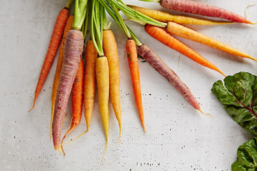 Putney Farmers Market - Winter