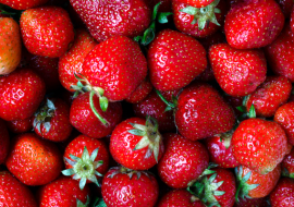 River Berry Farm