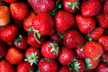 River Berry Farm