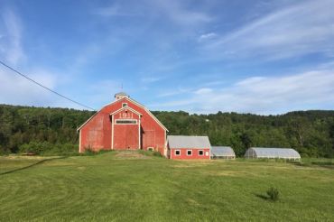 Roots Too Farm