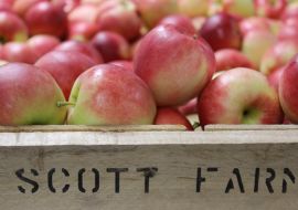 Scott Farm