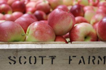 Scott Farm