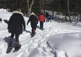 Silloway Maple Winter Trails