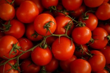St. Albans Bay Farmers Market