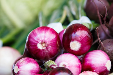 St. Johnsbury Farmers Market - Winter (Caledonia Farmers Market Association)