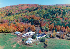 Sugarbush Maple & Cheese Farm