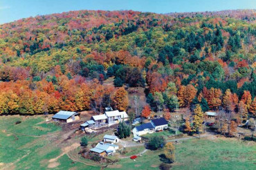 Sugarbush Maple & Cheese Farm